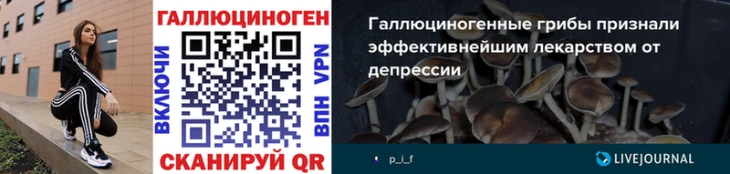 Псилоцибиновые грибы GOLDEN TEACHER  Соль-Илецк 